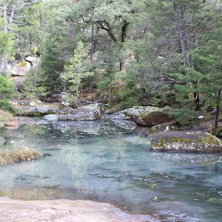 Hotel Paraiso Del Oso Cerocahuí Εξωτερικό φωτογραφία