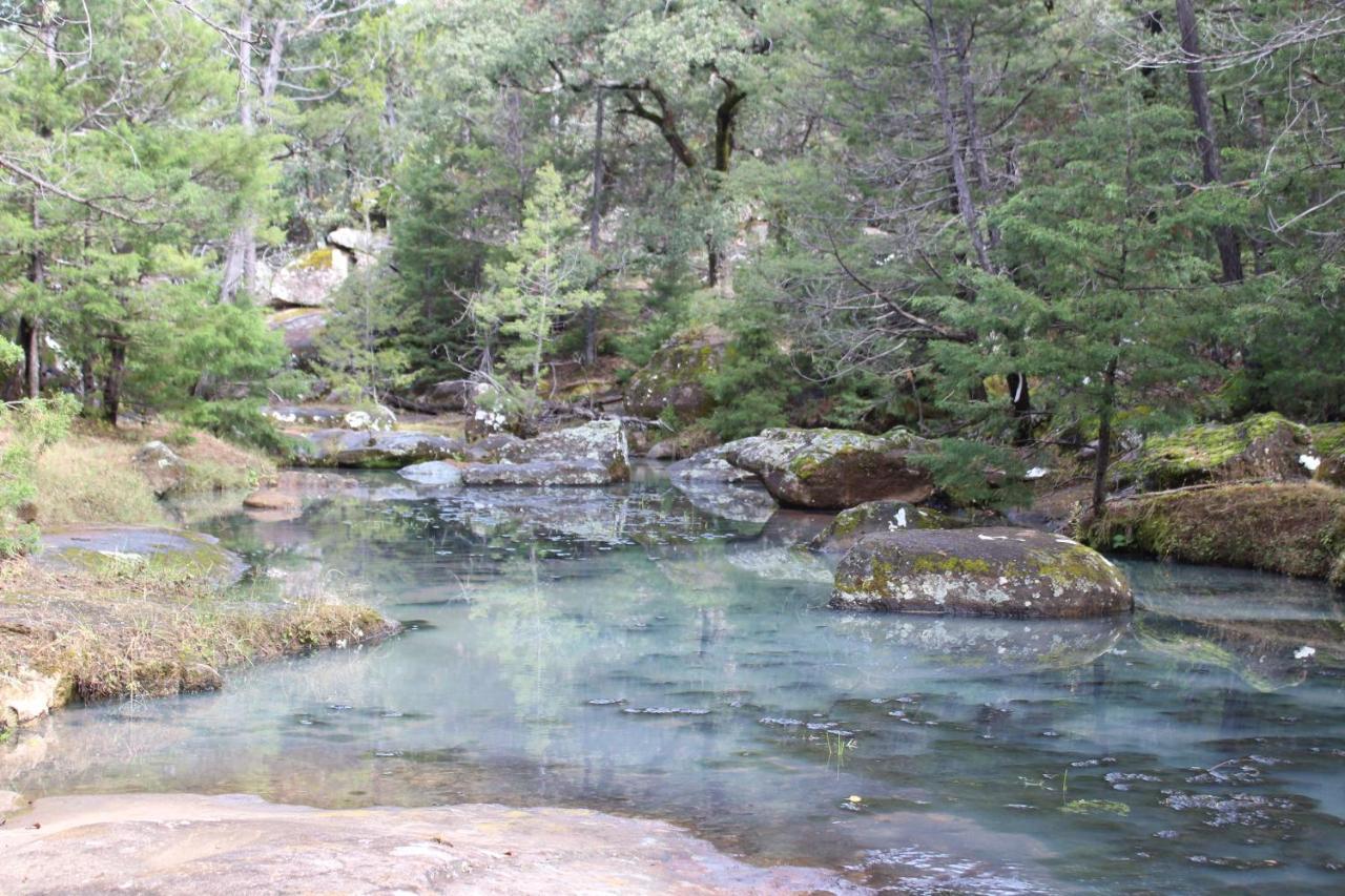 Hotel Paraiso Del Oso Cerocahuí Εξωτερικό φωτογραφία